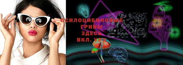 трава Беломорск