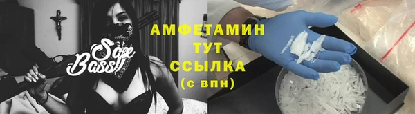 шишки Богородицк