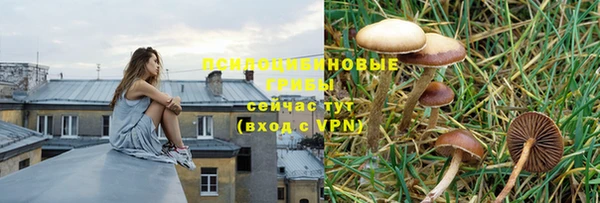 прущая мука Россошь