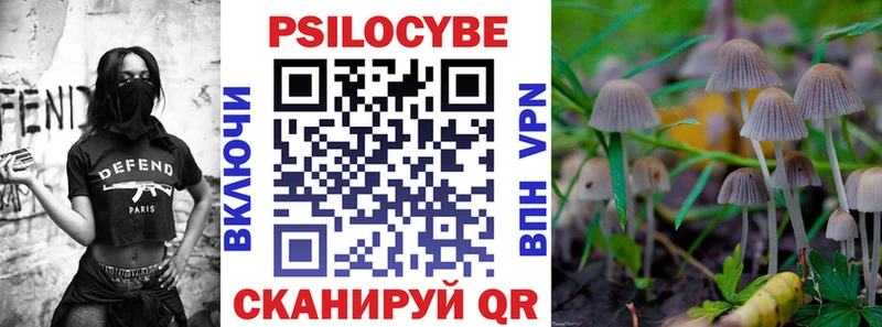 Псилоцибиновые грибы прущие грибы где продают наркотики Видное